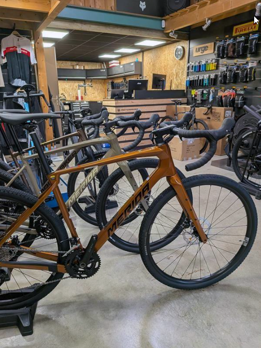 Assbike Destrierbike